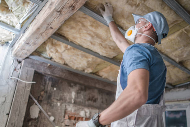 Best Insulation Inspection Services  in Columbus, MN