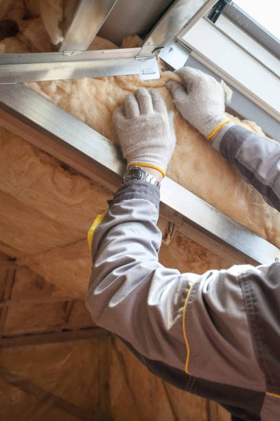 Best Spray Foam Insulation  in Columbus, MN