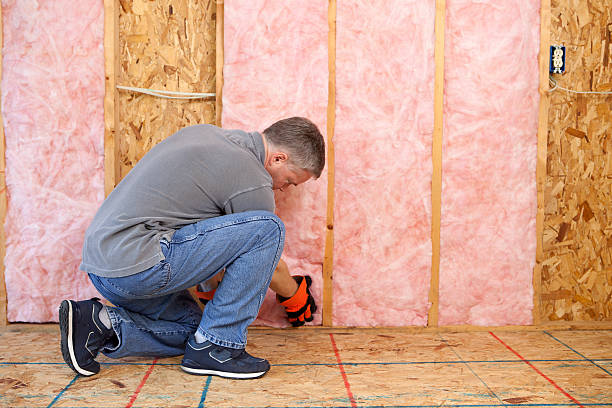 Best Insulation Installation Cost  in Columbus, MN